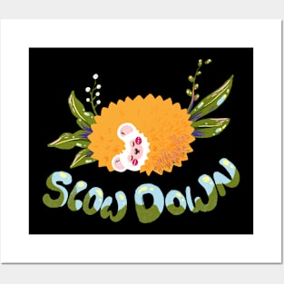 Slow down Posters and Art